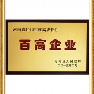 河南省高成長(zhǎng)性百高企業(yè)