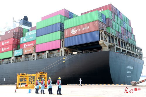 5月份山東外貿進出口創歷史新高，貨物貿易表現強勁